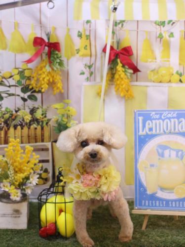 20240416クッキーくん